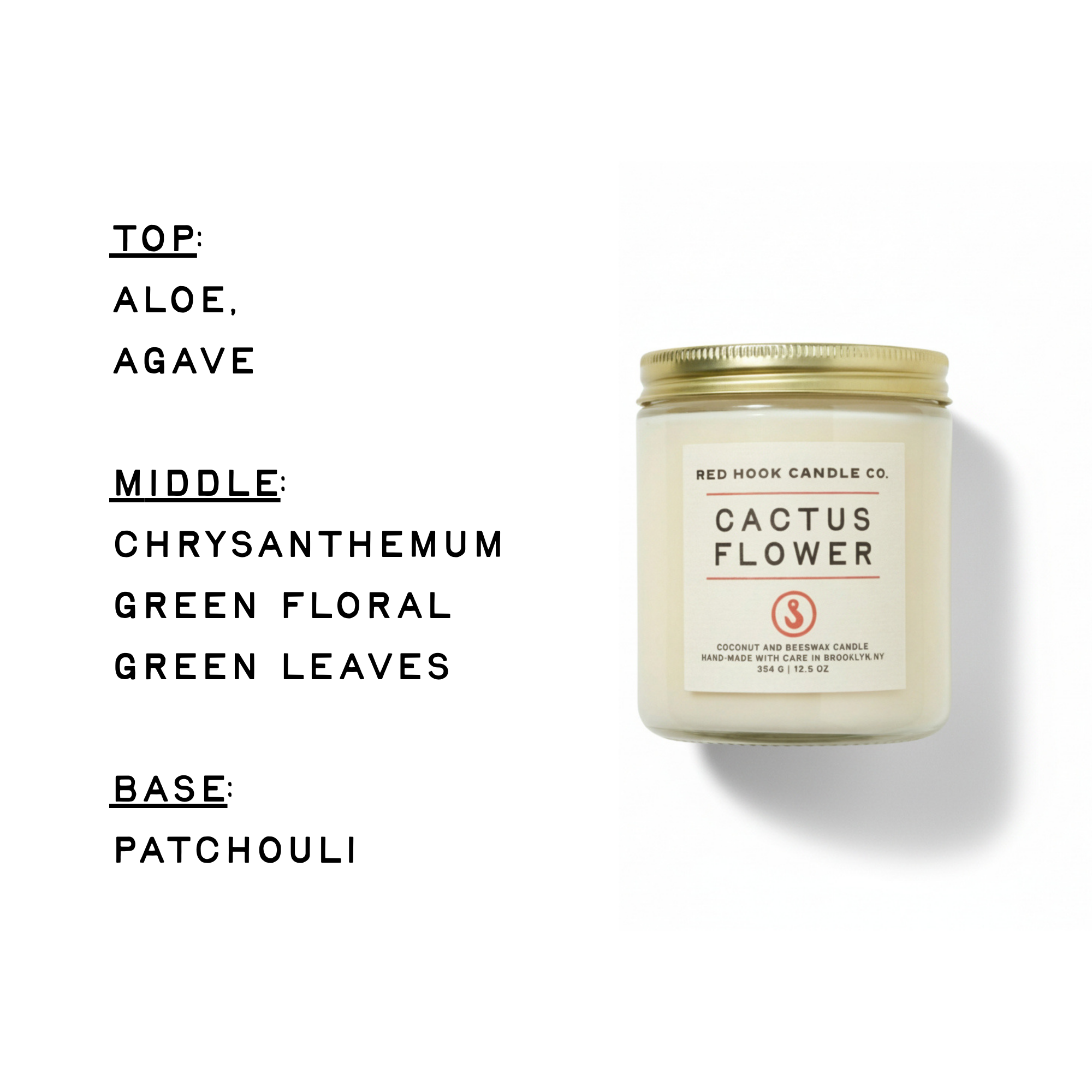 Large Cactus Flower Candle | Sunny Aloe, Agave & Patchouli | Hand-Poured in Brooklyn