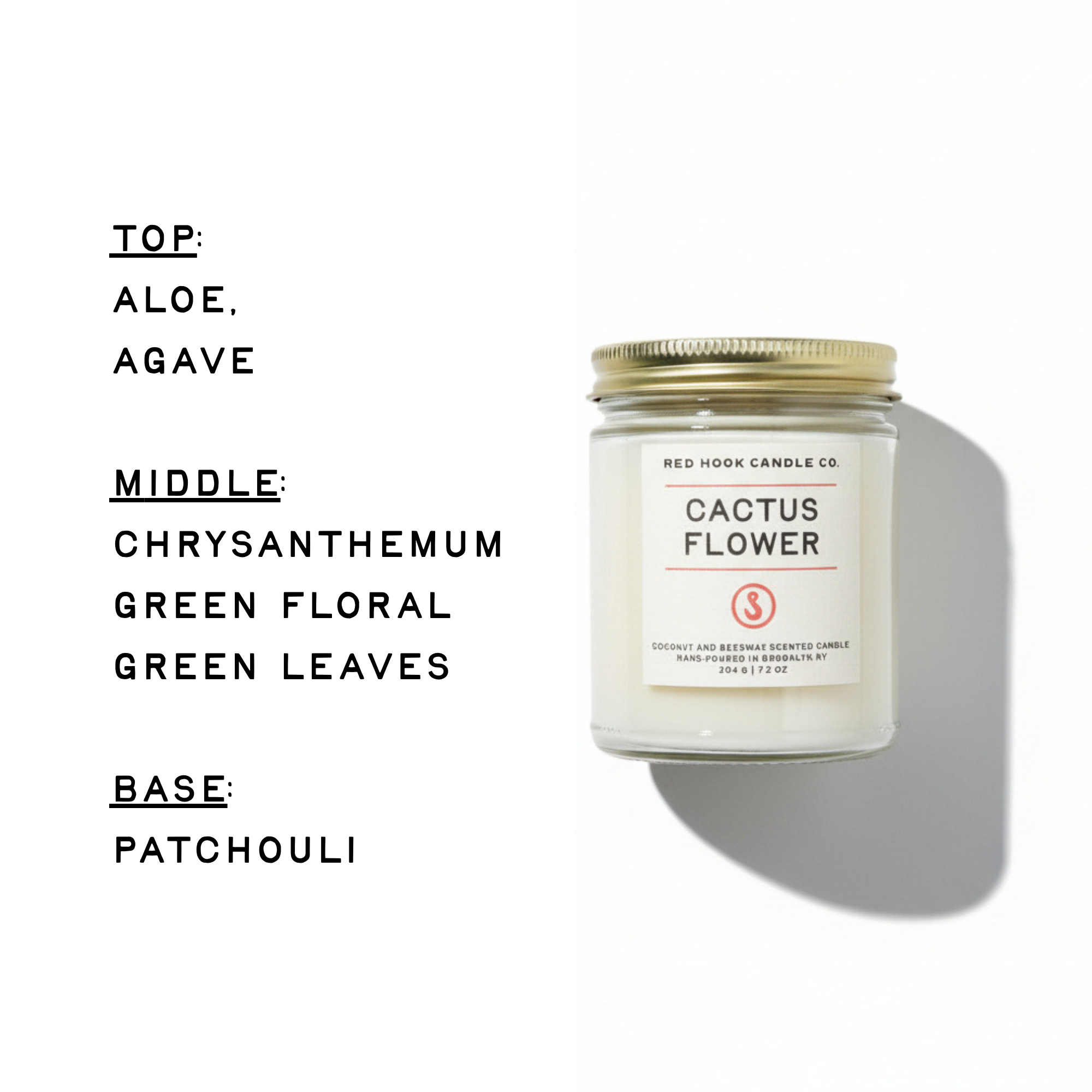 Cactus Flower Candle | Sunny Aloe, Agave & Patchouli | Hand-Poured in Brooklyn