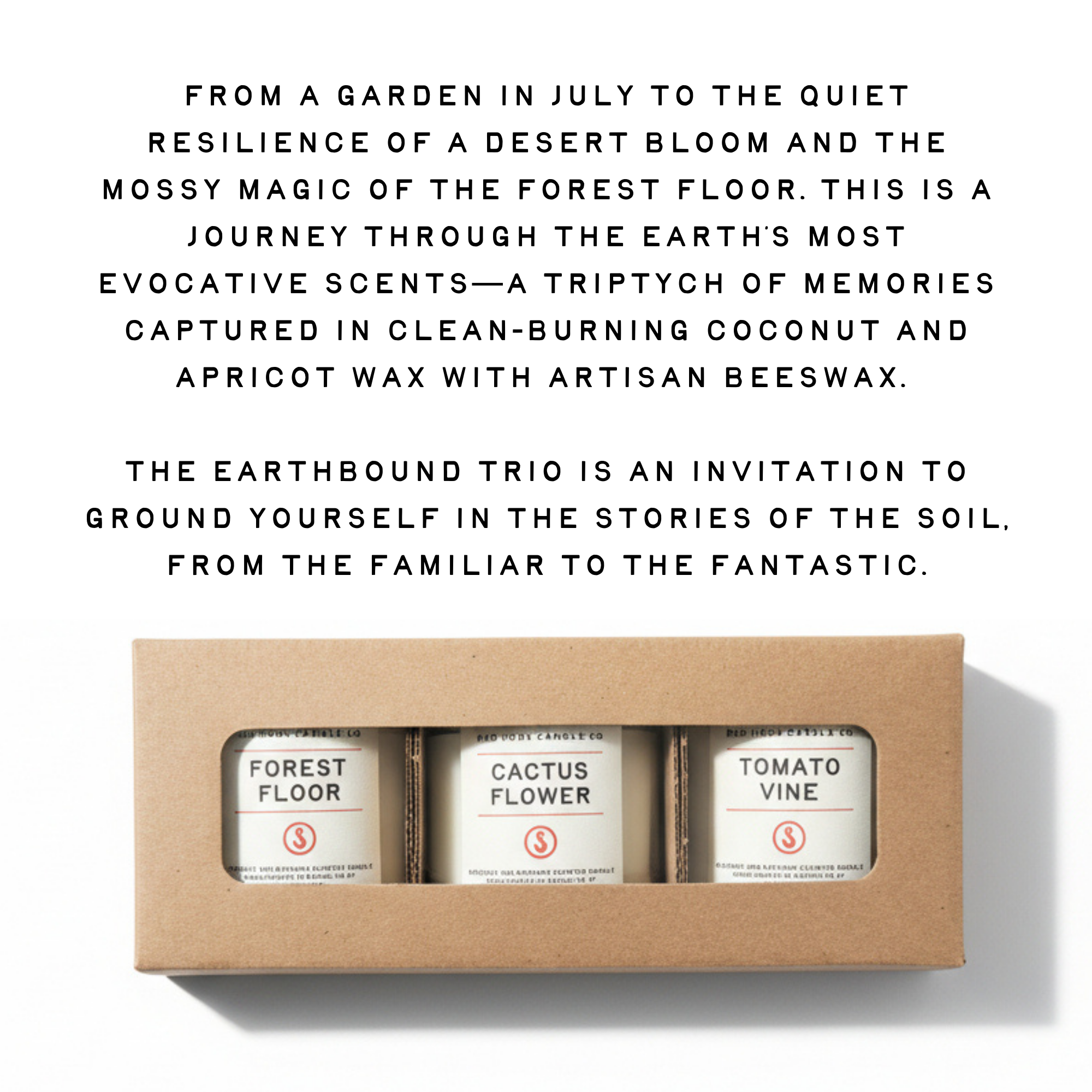 The Earthbound Trio | 3-Pack Candle Gift Set | Tomato Vine, Cactus Flower, Forest Floor