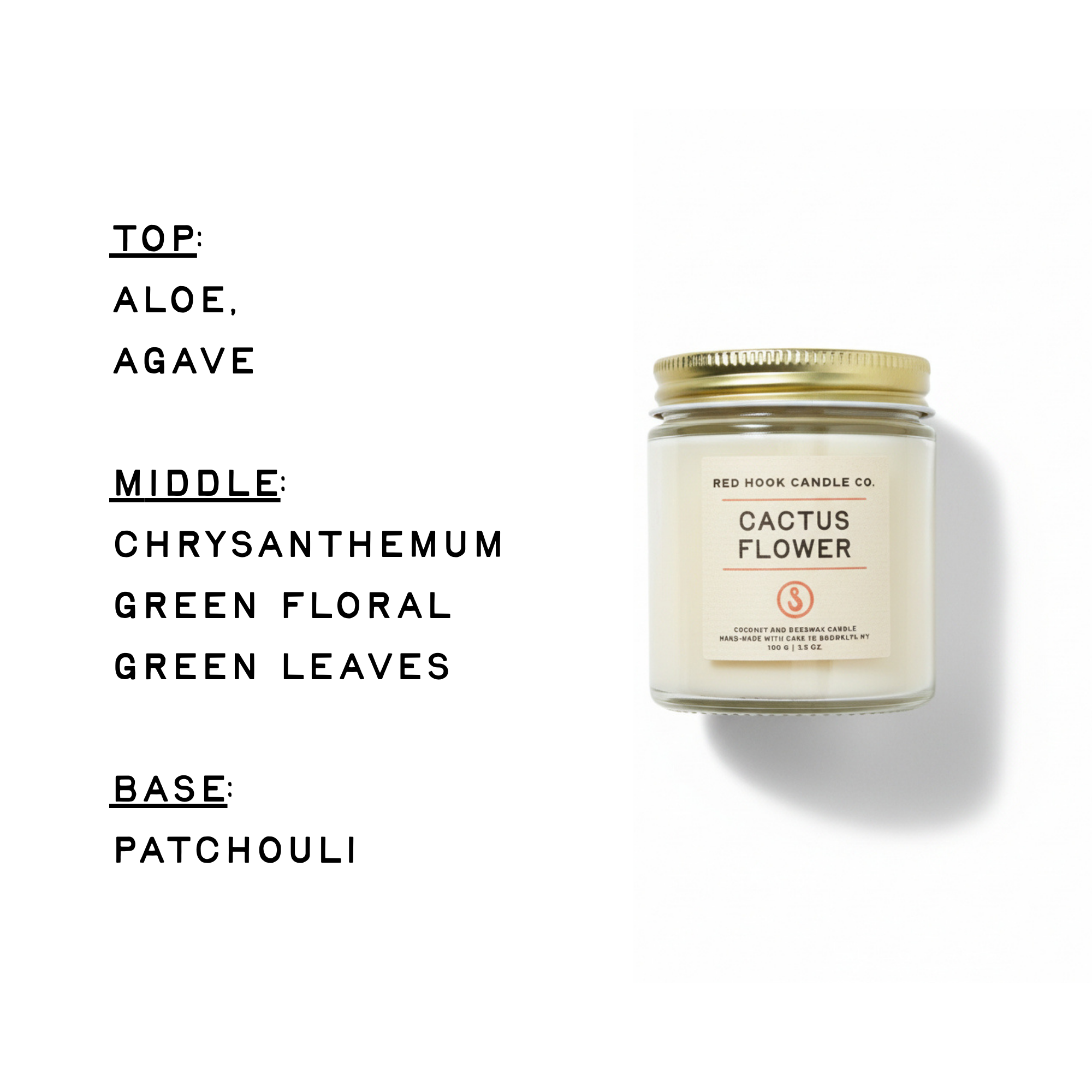 Mini Cactus Flower Candle | Sunny Aloe, Agave & Patchouli | Hand-Poured in Brooklyn