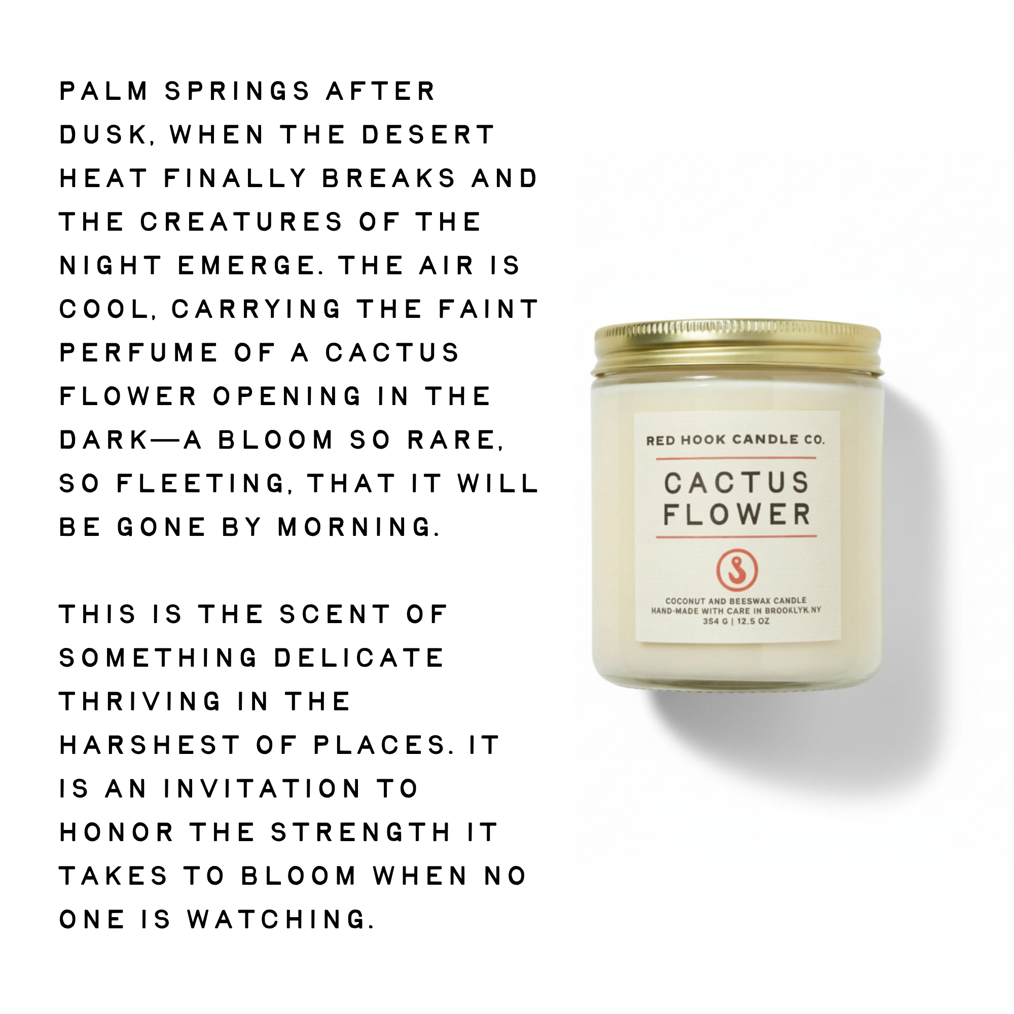 Large Cactus Flower Candle | Sunny Aloe, Agave & Patchouli | Hand-Poured in Brooklyn