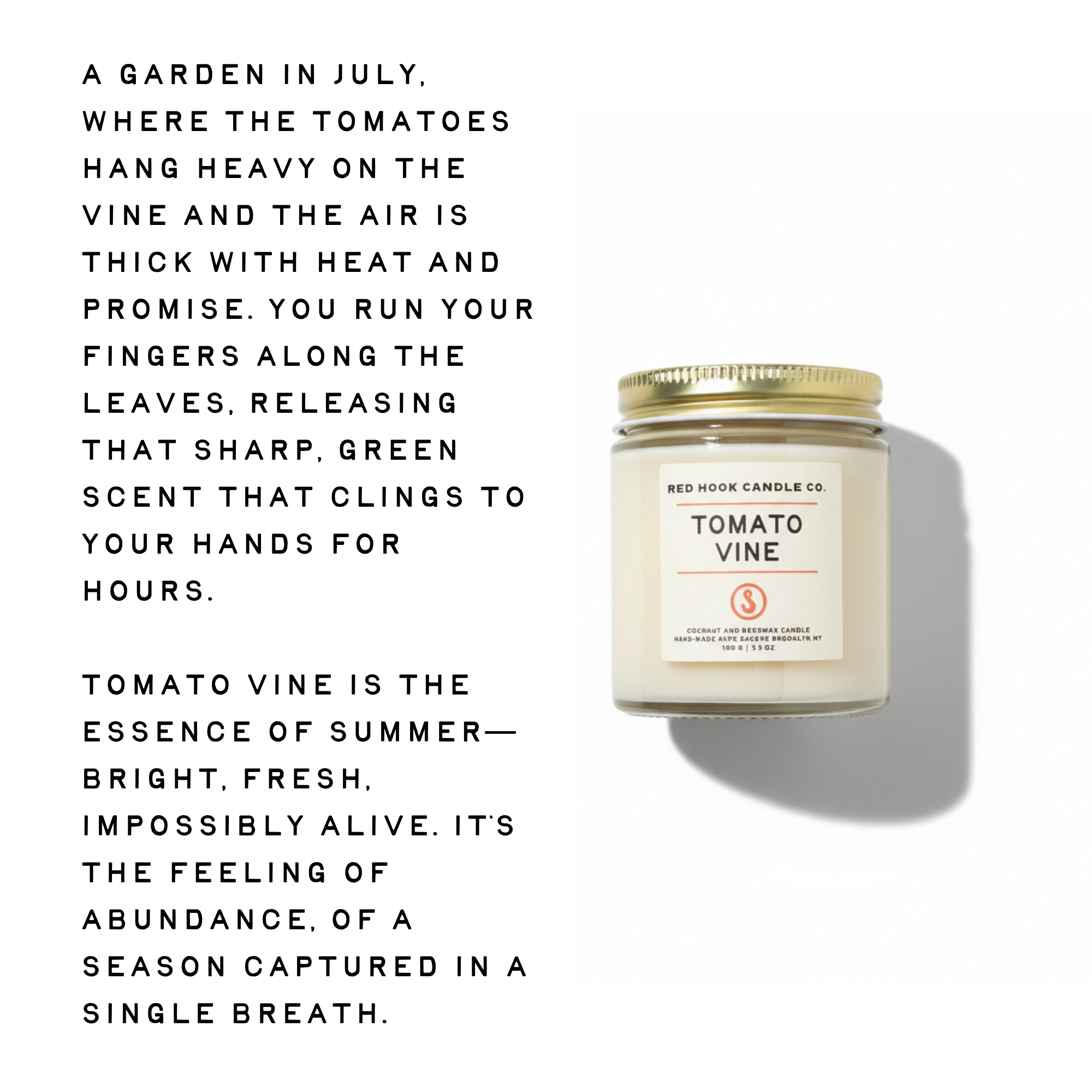 Tomato Vine candle with descriptive text on a white background