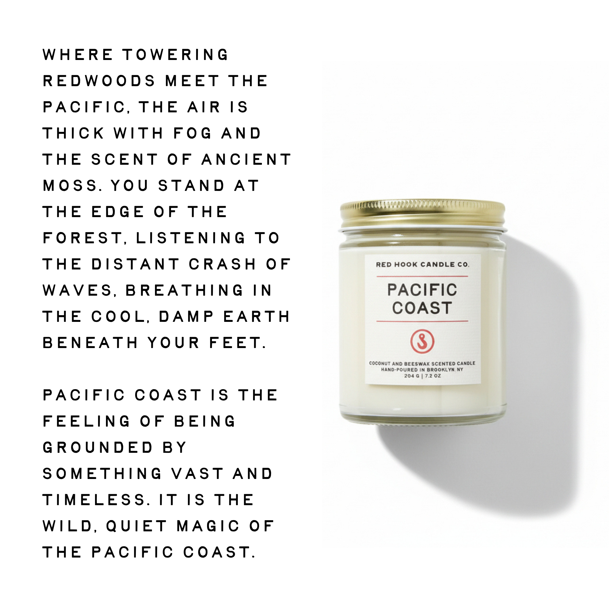 Pacific Coast Candle | Salty Redwood, Sea Salt & Sage | Hand-Poured in Brooklyn