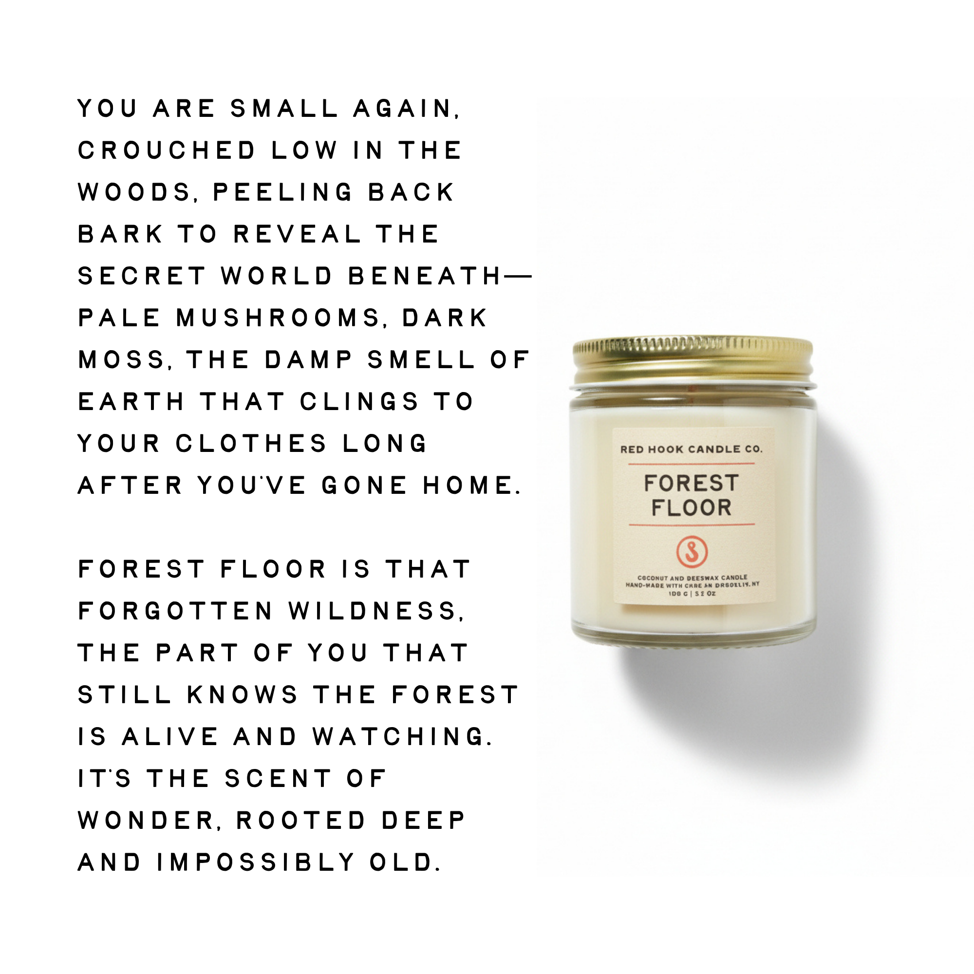 Candle labeled 'Forest Floor' by Red Hook Candle Co. with descriptive text on a white background.