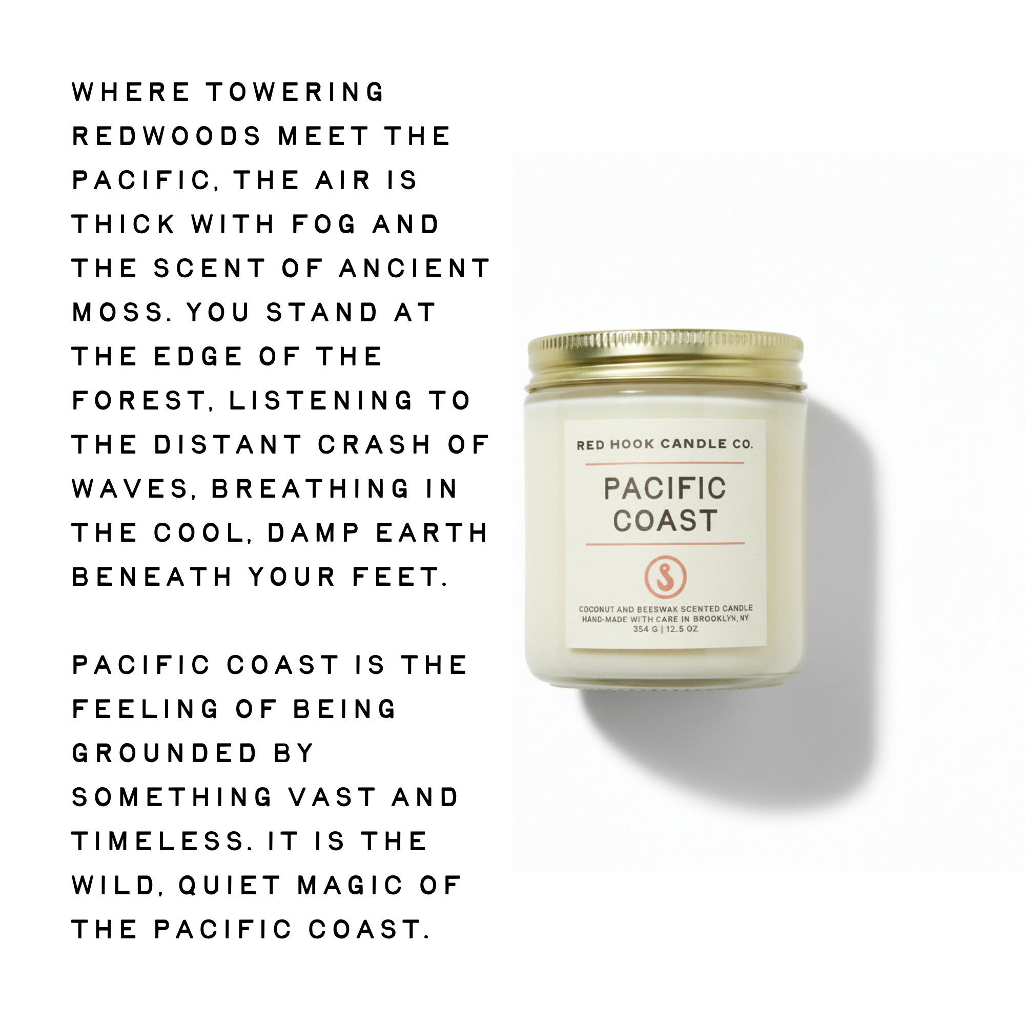 Large Pacific Coast Candle | Salty Redwood, Sea Salt & Sage | Hand-Poured in Brooklyn