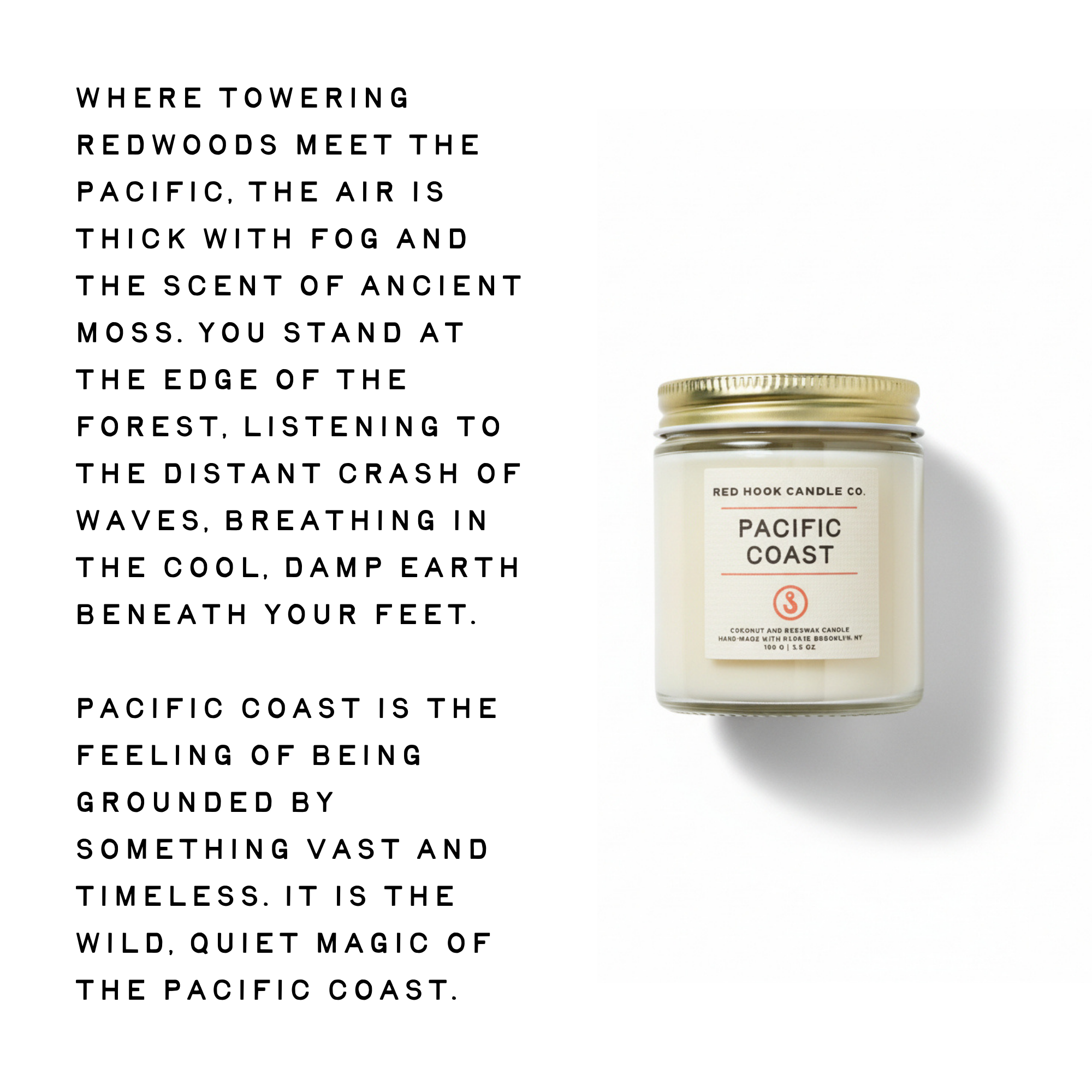 Mini Pacific Coast Candle | Salty Redwood, Sea Salt & Sage | Hand-Poured in Brooklyn