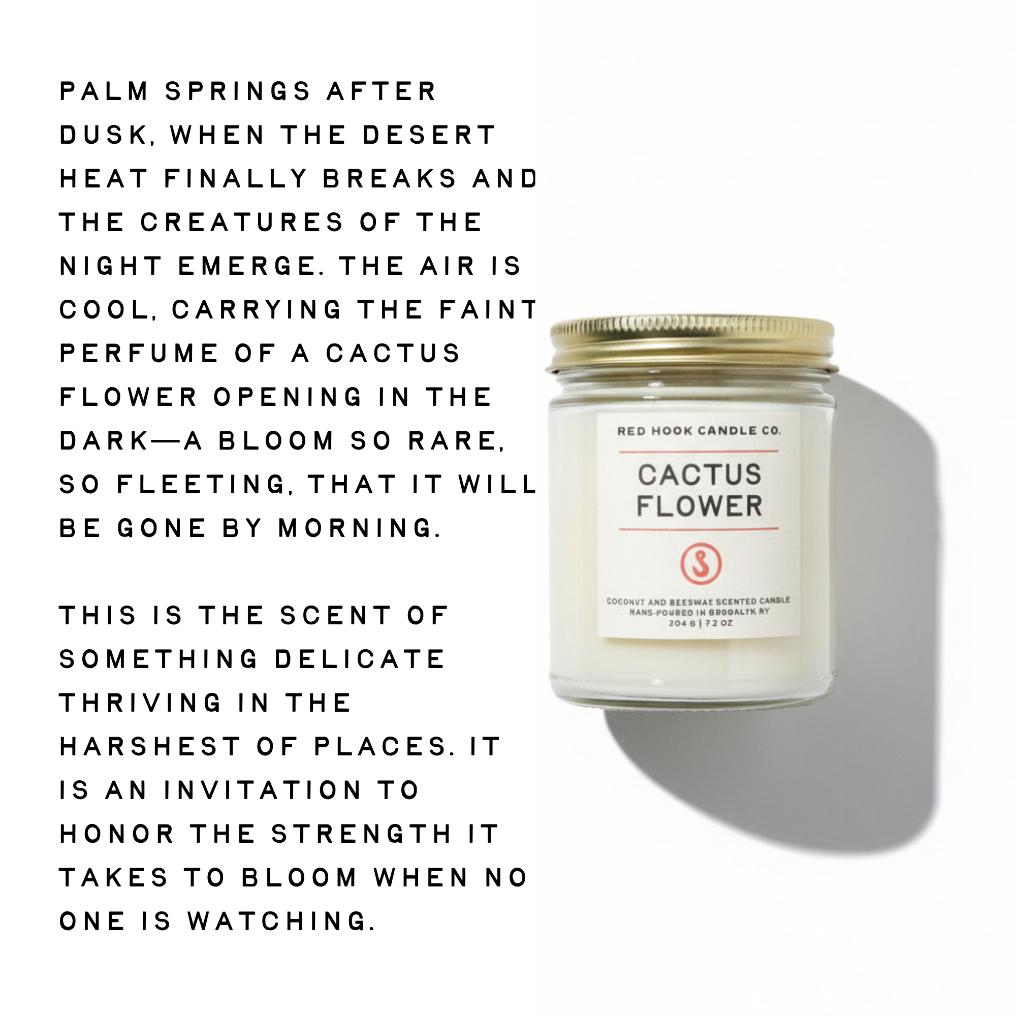 Cactus Flower Candle | Sunny Aloe, Agave & Patchouli | Hand-Poured in Brooklyn