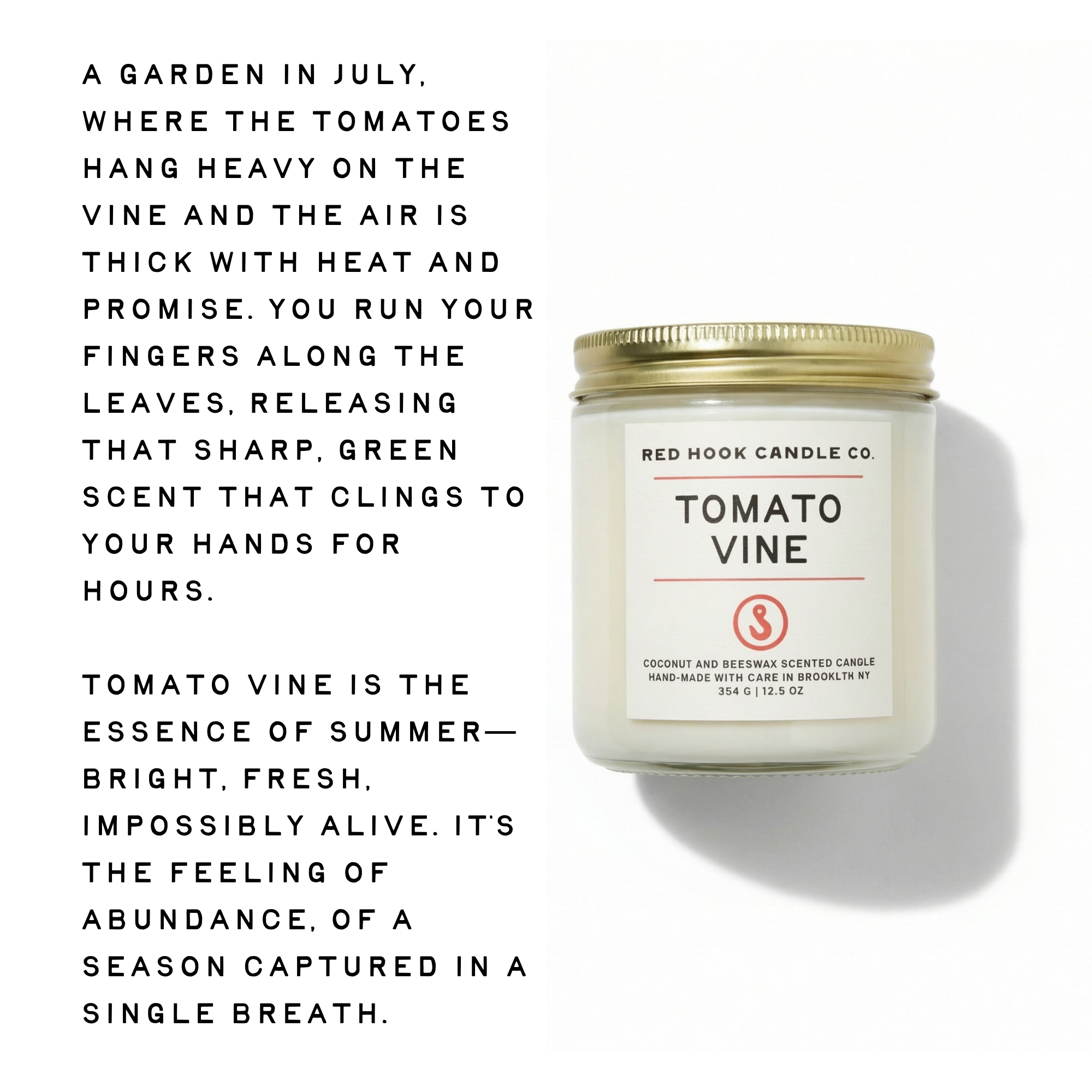 Large Tomato Vine Candle | Leafy Tomato, Basil & Moss | Hand-Poured in Brooklyn