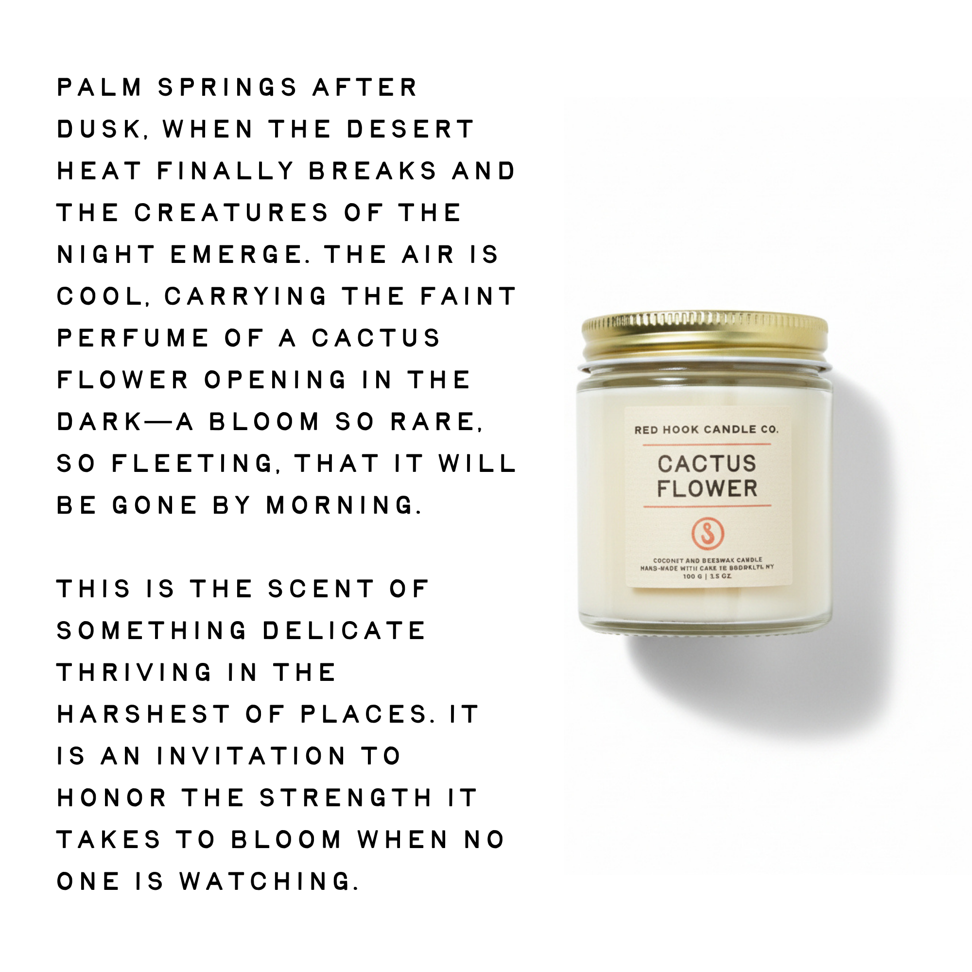 Mini Cactus Flower Candle | Sunny Aloe, Agave & Patchouli | Hand-Poured in Brooklyn