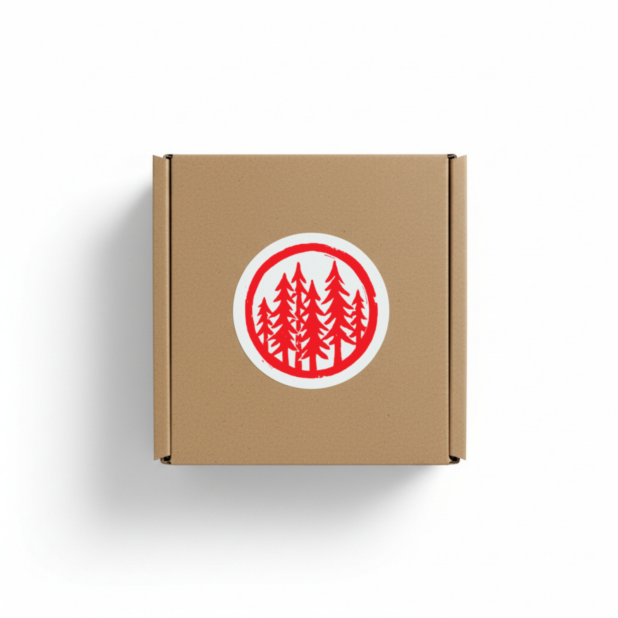 Pacific Coast Candle | Salty Redwood, Sea Salt & Sage | Hand-Poured in Brooklyn