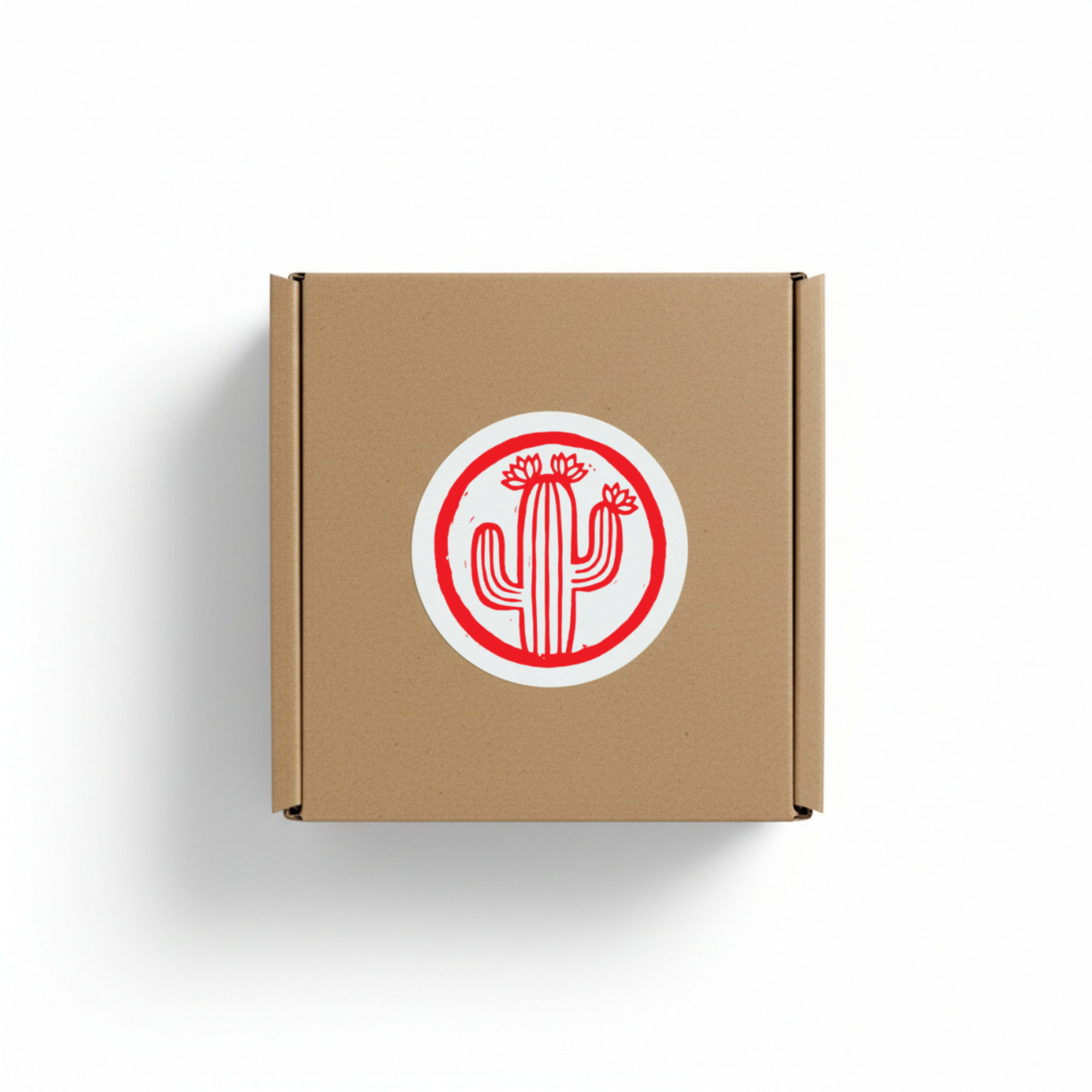 Cactus Flower Candle | Sunny Aloe, Agave & Patchouli | Hand-Poured in Brooklyn